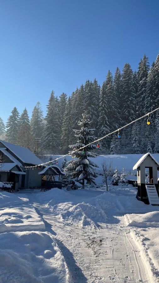 Sadyba Dana Tatariv Exteriör bild